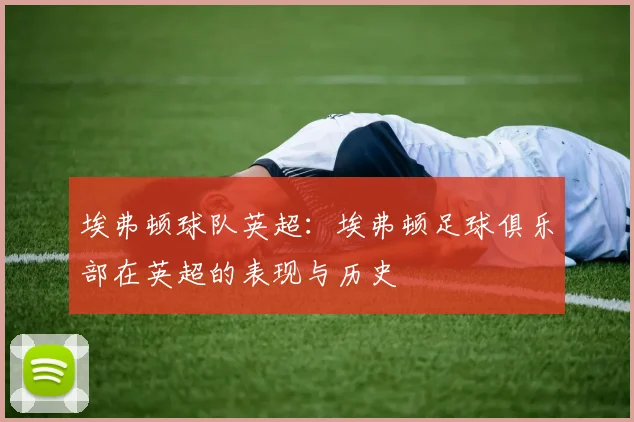 埃弗顿球队英超：埃弗顿足球俱乐部在英超的表现与历史