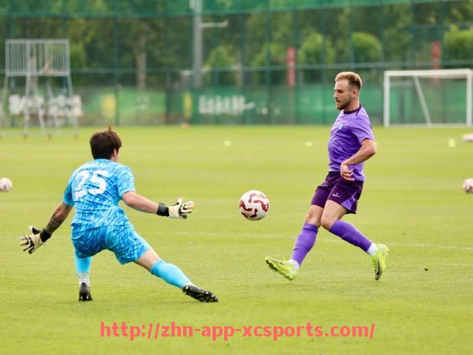 杏彩体育-法甲主场优势明显的球队名单与数据支持