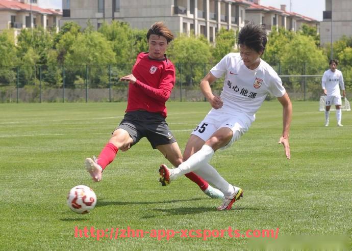 杏彩体育-小清新风格的意甲球队有哪些？从球衣到球场美学